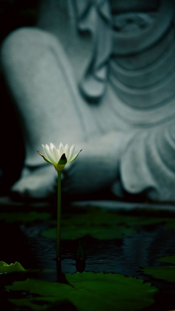 A serene white lotus blossoms in a pond, framed by a blurred Buddha statue, embodying peace.